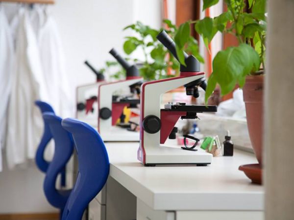 Spezielle Fachräume - Grundschule Pädagogium Schwerin